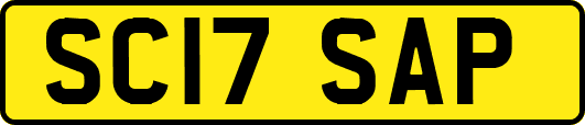 SC17SAP