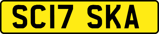 SC17SKA