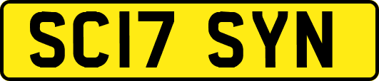 SC17SYN