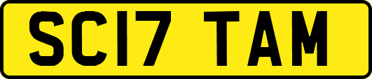 SC17TAM