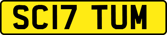 SC17TUM