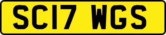 SC17WGS