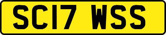 SC17WSS