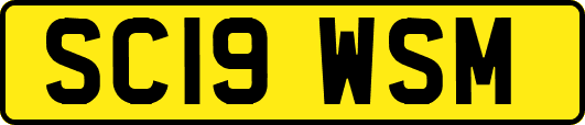 SC19WSM