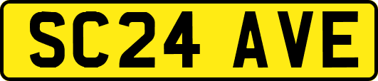 SC24AVE