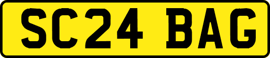 SC24BAG