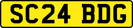 SC24BDG