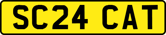 SC24CAT