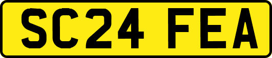 SC24FEA