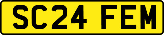 SC24FEM