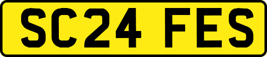 SC24FES