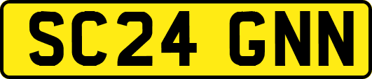 SC24GNN