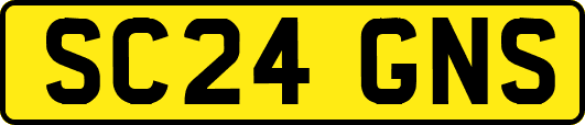 SC24GNS