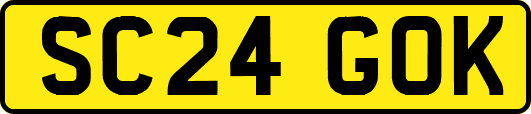 SC24GOK