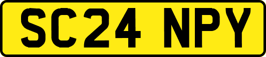SC24NPY