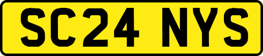 SC24NYS