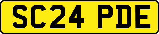 SC24PDE