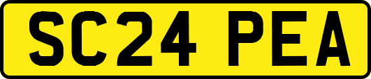 SC24PEA