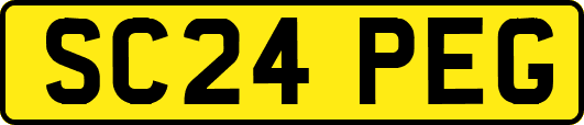 SC24PEG