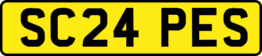 SC24PES