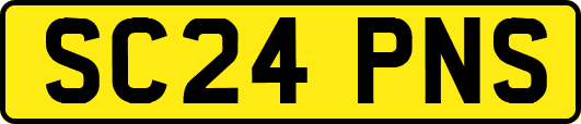 SC24PNS