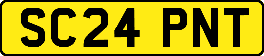 SC24PNT