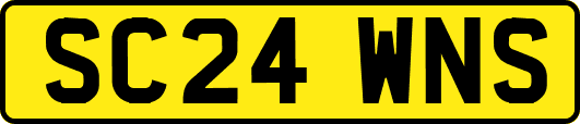 SC24WNS