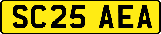 SC25AEA