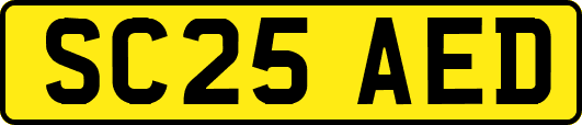 SC25AED