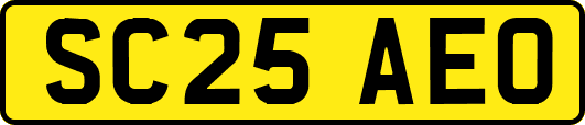 SC25AEO