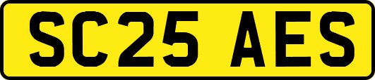 SC25AES