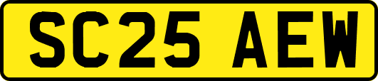 SC25AEW
