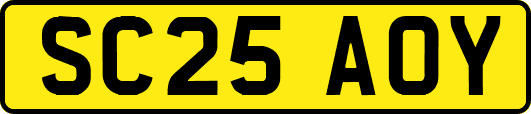 SC25AOY
