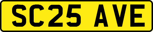 SC25AVE