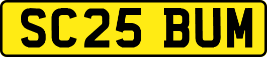 SC25BUM