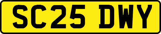 SC25DWY