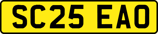SC25EAO