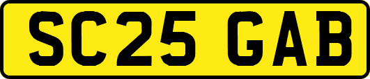 SC25GAB