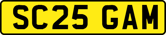 SC25GAM