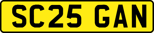 SC25GAN