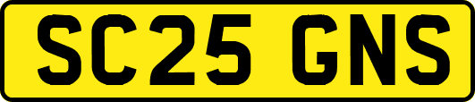 SC25GNS