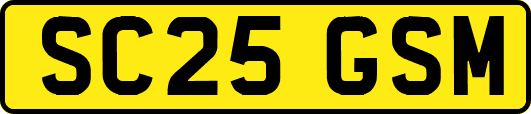 SC25GSM