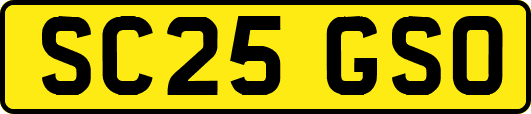SC25GSO