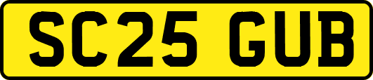 SC25GUB