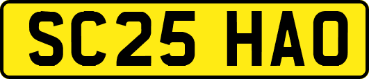SC25HAO