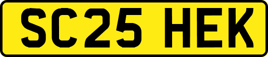 SC25HEK