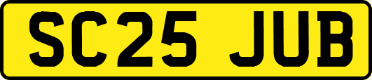 SC25JUB
