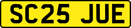 SC25JUE