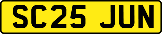 SC25JUN