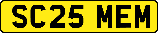 SC25MEM